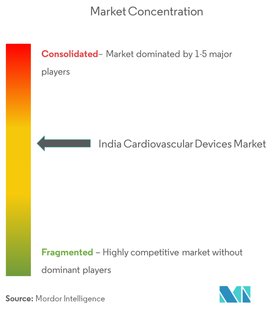 India Cardiovascular Devices Market Concentration